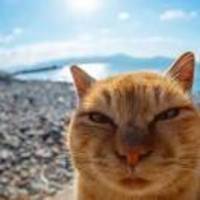 A59773a47f4389db282b3a3b87fba1a1ea90399a