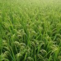 24e05f70da1742b8f82c7a64e7a0a4d614b5eadb