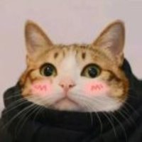 F945f7fcac76a1ab60310529e2f852435b9063dd