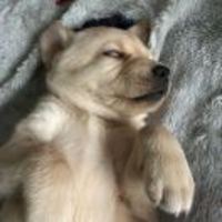 D6891d88917c7b2fe63ad4d6704c3a8f78456d43