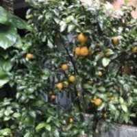 6578a8723ad57276d05c1d32b509b5372b6f1f95