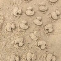 061bc23514d21b0192a06cea5d79626b1b09dc00