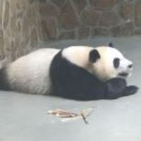 46d8872f458eff6b5f8357efbdfe002ac13d3200