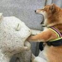 7fc05a655b257d4b85855299b062dbf9544ceef2