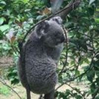 Ed757f080e3d223c4c5fd702763138f1fd61d14c