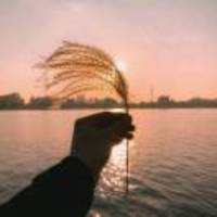 5b2f968e4c5f4f65715cd151d55106cdb6bef040