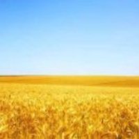 8585e3646f6adcb5941ddac43f1160a7278ace35