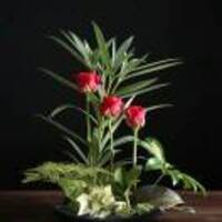 426b17dcf1550b3a10a7e6010d1cb268342d7927