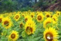 2f07de43825c63607c93863a1e420480584c73d6