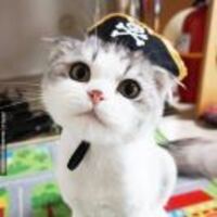 A9b4a469e025b25d4f74a177fe43a644d1c6a93b