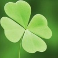 Be16806d2944675e0cde7aad0c0c477a03d256f6