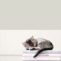 686d5f662b18ee198c13afe2b0c651bb071c265e