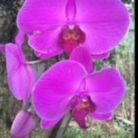 712685436be55d060e4b13e586e846f218e0f1bb