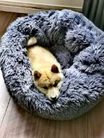 31205a092183782f030c7c0f43326f6f1f45d058