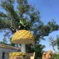 21b47dbacd50a850b6fdadd226e7876312be8c38