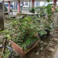 2eaf913d0ff810cd24cf30d506b495ed97e98005