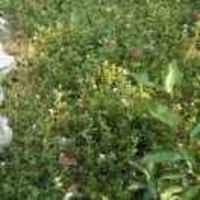 7897428029213dfb6a17407ae563b45c569c20c1