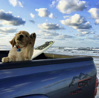 83cd5af2ad15671bc338e0fb23571ce6eefe3f82