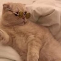 8408c523cb61f0c39fd63d40e57f976271cc7835