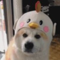 5256f067e94459efa5f20a8288063acb5461923a