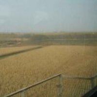 9cfc91a465388d6f815688fa181a68b9f1155741