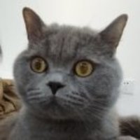 816ff622a6013a22a882b7e24a639467dc7e77ca