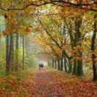 68b16d68c01abfa9a8f0520e95da6864d44338fd