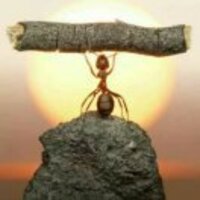 062e008d508a1c12d8e2beebf2dddb7809a37229