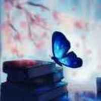 Cc0dc648ed8c43a0f17944877be9f0b483d13f4a