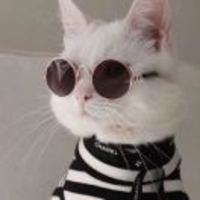 6dc2f2a789baf81706096ad0b52b9d00001b9d99