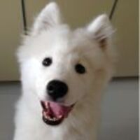 70c04704576121e822d467c403390f35c298c5f1