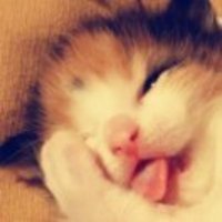 4c93bd9dc1a068d690a54a128f5d873789b86ca8