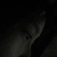 38ad14621927054d76aff06d094611905d0c5708