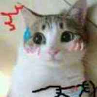 993cbc390f8b9e62243f38eed3b0cb7b303beee1