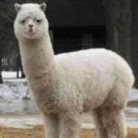 4232bb5404acdfdff0df8fc04a50e507ccb6aad4