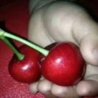 9ffbe0afa8bd632974ac2f98c7b47d340de799f1