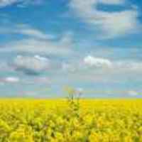 562f63f68aa2d6287baa1141e2ae8ddd5e3a59d8