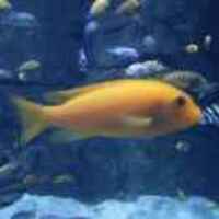 880d4515bf3dfd46017d9dc0276cb38a17682f33