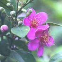 82b77ebfbb1eea928fc4c3481b44570ddf13f986