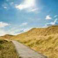 F6f4e8807a651b382ee0700627084561d559f311