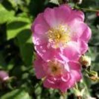 Fc94ee36ff54e3d079fdc63f10652c0516154848