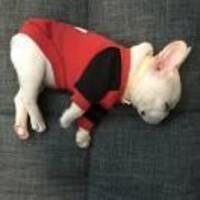 429e1db53d47729bdecd43665d7564209f04ca20