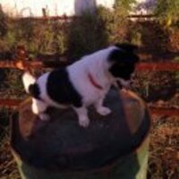 4b1951c96e4a9a63fac6f7ae7cd54ba882e25112