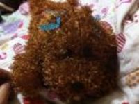 6bca7a6f9c5f4c875669edba4cd281e38c03d928