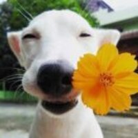 E2b00599ed147aeb931e9ebd8fb57827f54b610e