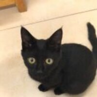 2790c1b1c120777f58d04e8d6699de0106fd02f8