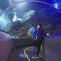 97199f5efb1df5476eb4f0bd87d7c6d43ad748d2