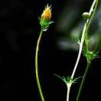 F7ad04ff3d539fc8d036f2ce12e4764799c6b23f