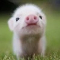 421b4558601fe6dce3d0f9fbbbb414db5f00c1b9