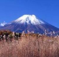 5cfb4be66967208965f314f758f2813da2290412